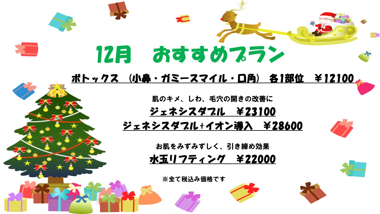 おすすめプラン 12月