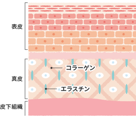 ピコレーザーは肌の深部に作用しコラーゲン生成も促進